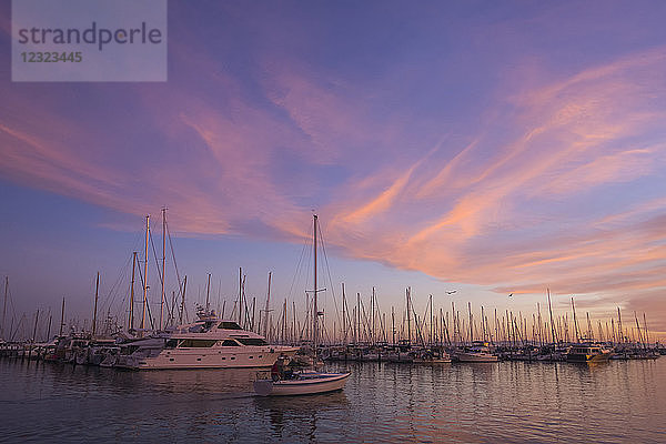 Yachthafen mit Segelbooten und Yachten bei Sonnenuntergang; Santa Barbara  Kalifornien  Vereinigte Staaten von Amerika