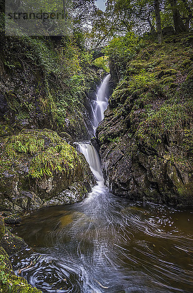 Wasserfall Aira Force im englischen Lake District. Das Land gehört dem National Trust.