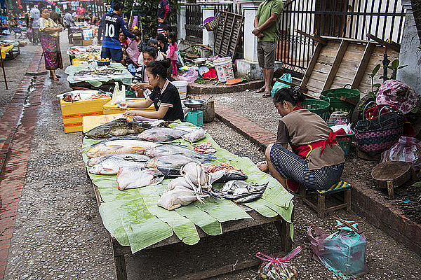 Fischhändler auf dem Morgenmarkt; Luang Prabang  Luang Prabang  Laos