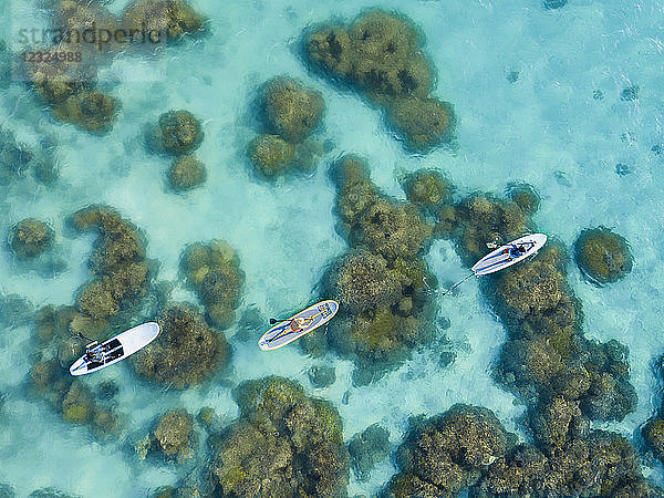 Luftaufnahme von Menschen auf Stand Up Paddle Boards über dem Riff in der Piti Bay  Marianen; Asan  Guam  Mikronesien
