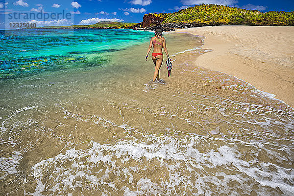 Eine junge Frau im Bikini mit Schnorchelausrüstung  Kawakiu Nui Beach an Molokais Westende; Molokai  Hawaii  Vereinigte Staaten von Amerika