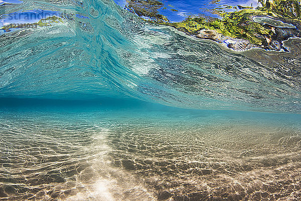 Durch eine kleine Welle  die über einen flachen Sandboden vor der Insel Maui läuft  ist Küstenlaub zu sehen; Maui  Hawaii  Vereinigte Staaten von Amerika