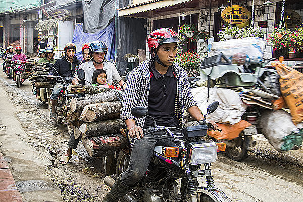 Menschen schleppen Baumstämme auf Motorrädern; Sapa  Lao Cai  Vietnam