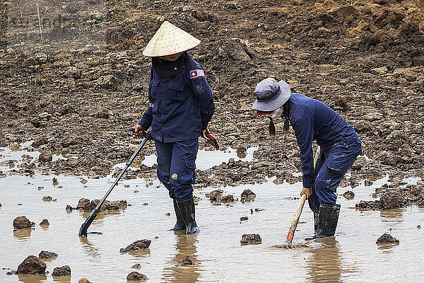 Frauen beim Einsatz eines Metalldetektors bei der Räumung von Landminen auf einem Feld in der Nähe von Phonsavan; Xiangkhouang  Laos