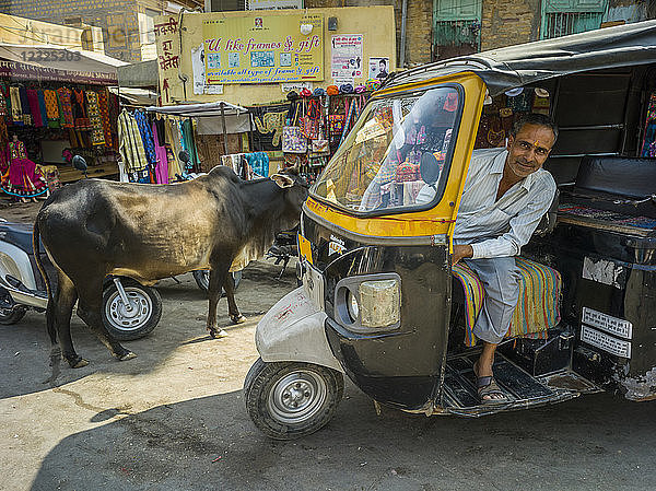 Auto-Rikschafahrer posiert in seiner Rikscha mit einer Kuh auf der Straße; Jaisalmer  Rajasthan  Indien