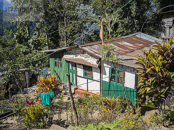 Ein Haus mit einem verrosteten Dach und einer Wäscheleine  die von den Bäumen hängt; Westbengalen  Indien