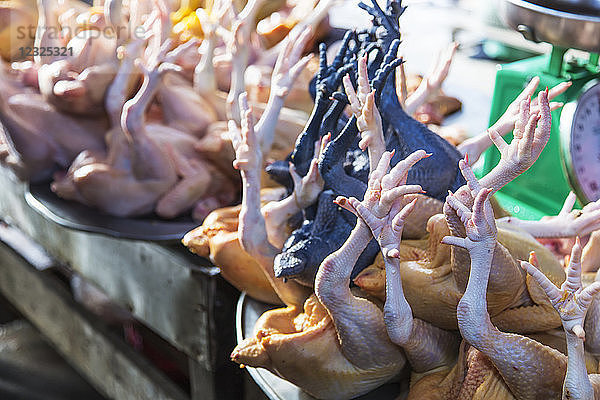 Nahaufnahme von rohen ganzen Hühnern mit Füßen zum Verkauf auf einem Markt; Sa Pa  Vietnam