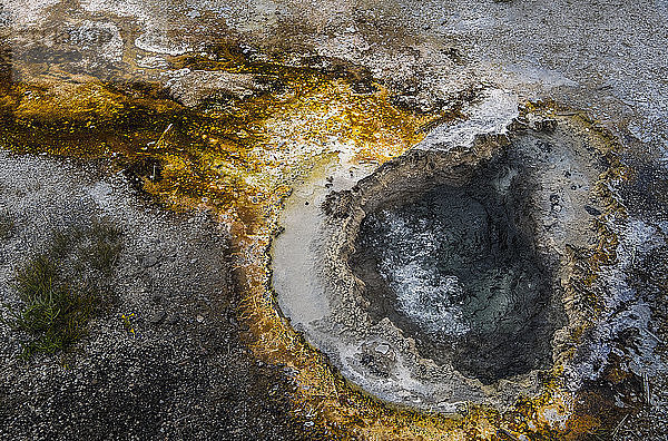 Nahaufnahme einer Thermalanlage im Yellowstone National Park; Wyoming  Vereinigte Staaten von Amerika