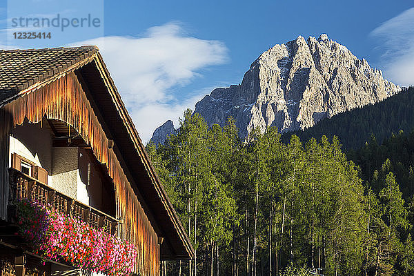 Hölzerne Almhütte mit Blumenkästen und Berg im Hintergrund mit blauem Himmel und Wolken; Grainau  Bayern  Deutschland