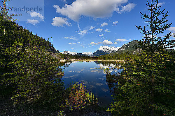 Mount Rundle über Vermilion Lakes gesehen  Banff National Park; Alberta  Kanada