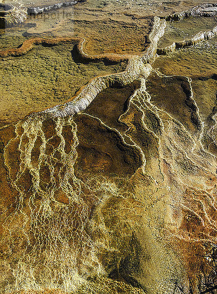 Luftaufnahme von Mammoth Springs  Yellowstone National Park; Wyoming  Vereinigte Staaten von Amerika