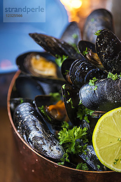 Schale mit Muscheln  Restaurant Sjavarpakkhusid; Stykkisholmur  Island