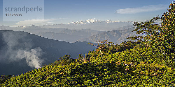 Glenburn ist ein himmlischer kleiner Rückzugsort auf einer Teeplantage  die auf einem Hügel über den Ufern des Flusses Rungeet liegt  hoch im Himalaya  überragt von der mächtigen Kanchenjunga-Bergkette  Tukdh Tea Garden; Darjeeling  Westbengalen  Indien