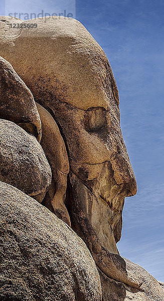 Face Rock  Joshua Tree National Park  Kalifornien  Vereinigte Staaten von Amerika
