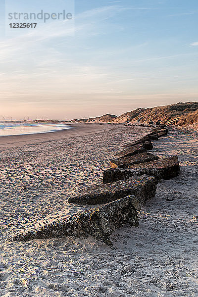 Frühmorgendliche Ansicht des Strandes von Amble mit einer Reihe von im Sand eingegrabenen Betonverteidigungsanlagen aus dem Zweiten Weltkrieg; Amble by the Sea  Northumberland  England