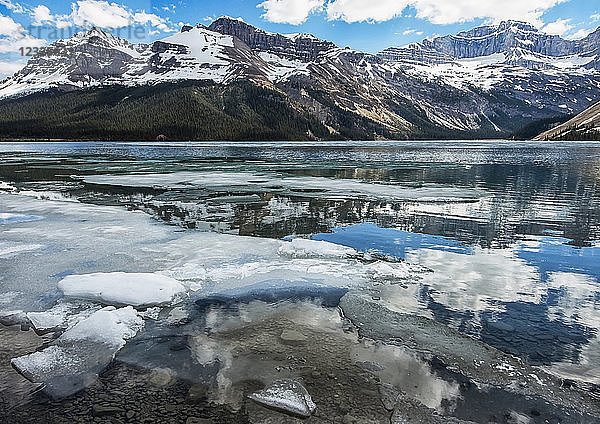 Gebrochene Eisstücke entlang der Uferlinie des Bow Lake mit den Rocky Mountains  die sich im Wasser spiegeln  Banff National Park; Alberta  Kanada