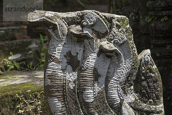 Naga-Basrelief im Vat Phou-Tempelkomplex; Champasak  Laos