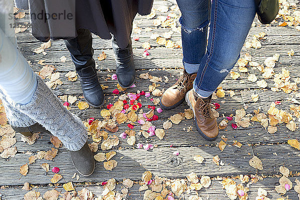 Schuhe und Beine von drei Frauen  die auf einer Promenade im Herbst stehen; New Westminster  British Columbia  Kanada