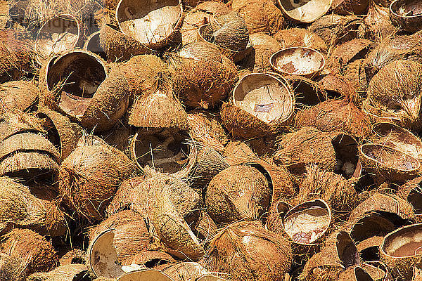 Kokosnüsse in einem kokosnussverarbeitenden Familienbetrieb im Mekong-Delta; Ben Tre  Vietnam
