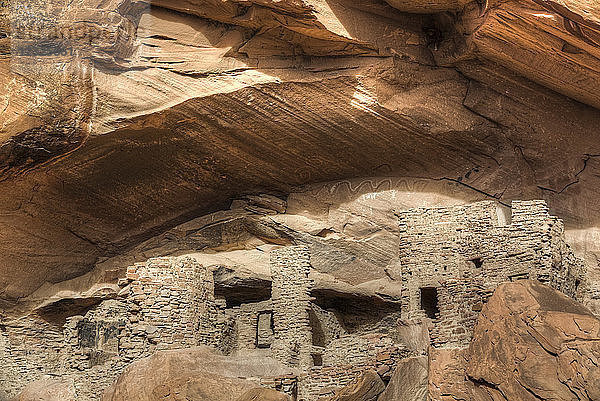River House Ruin  Felsbehausung der Pueblo-Ureinwohner  900-1300 n. Chr.  Shash Jaa National Monument; Utah  Vereinigte Staaten von Amerika