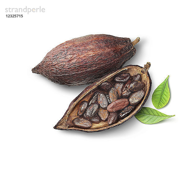 Kakaobohnen in Schoten auf weißem Hintergrund