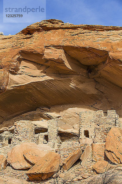 River House Ruin  Felsbehausung der Pueblo-Ureinwohner  900-1300 n. Chr.  Shash Jaa National Monument; Utah  Vereinigte Staaten von Amerika