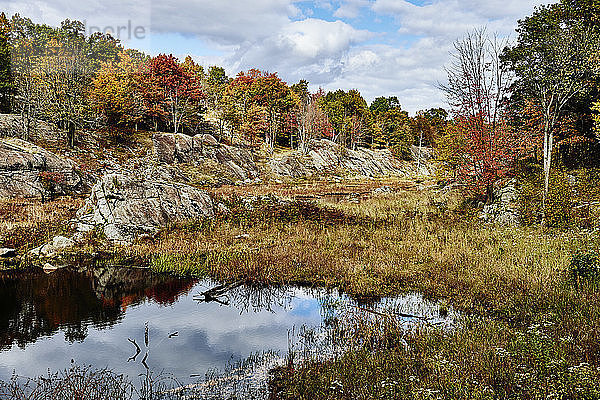 Herbstfarbenes Laub und Wolken im Frontenac Provincial Park  die sich im ruhigen Wasser spiegeln; Ontario  Kanada
