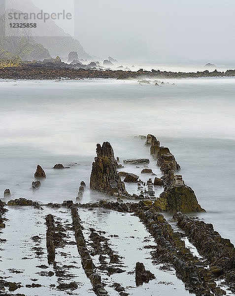 Felsformationen in einem Nebelschleier entlang der Nordseeküste; Burnmouth  Scottish Borders  Schottland