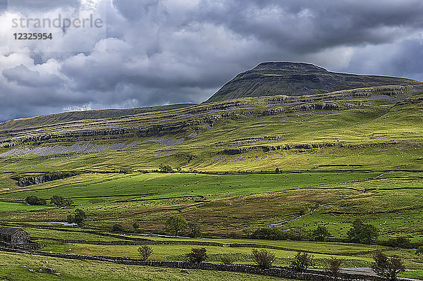 Ingleborough ist der zweithöchste Berg in den Yorkshire Dales. Er ist einer der Yorkshire Three Peaks  die anderen beiden sind Whernside und Pen-y-ghent; Yorkshire Dales  England