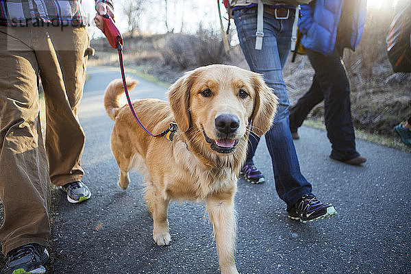 Menschen  die mit einem Hund auf einem Weg spazieren gehen; Anchorage  Alaska  Vereinigte Staaten von Amerika