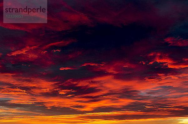 Dramatische bunte Wolkenformationen bei Sonnenuntergang; Calgary  Alberta  Kanada