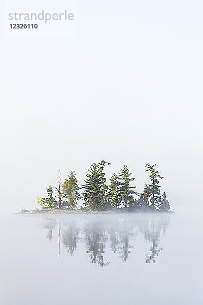 Nebel umhüllt eine kleine Insel im Turtle Lake in der Region Muskoka in Ontario  in der Nähe von Rosseau; Ontario  Kanada