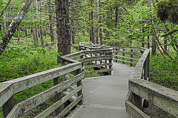 Holzbohlenweg auf dem Forest Loop Trail durch einen Fichten-Blocklockwald in Bartlett Cove  Glacier Bay National Park and Preserve; Alaska  Vereinigte Staaten von Amerika