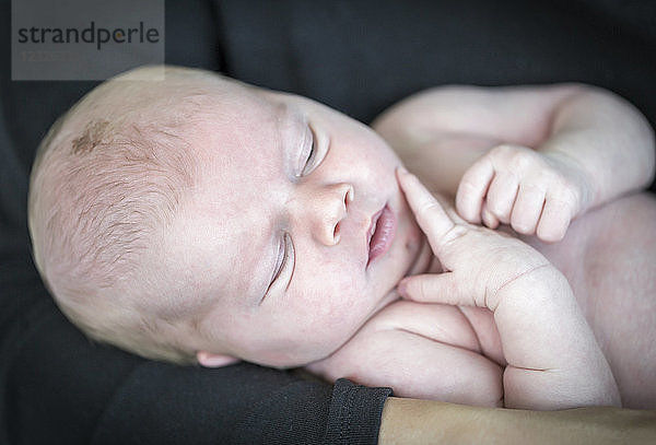 Ein neugeborener Junge mit nackter Haut  der in den Armen eines Elternteils gehalten wird; British Columbia  Kanada