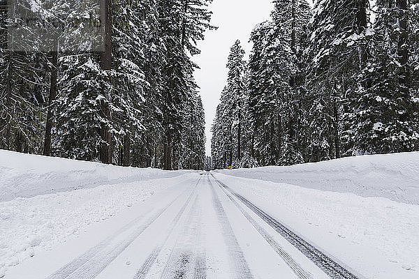 Verschneite und vereiste Straße in den Bergen; Keno  Oregon  Vereinigte Staaten von Amerika