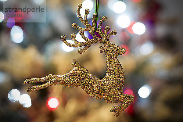 Goldenes Rentier auf Weihnachtsbaum mit Lichtern; London  England