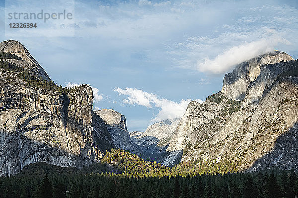 Landschaft im Yosemite Valley  Yosemite National Park; Kalifornien  Vereinigte Staaten von Amerika