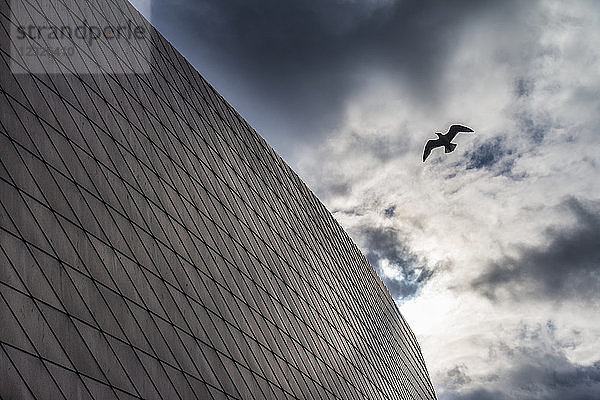 Silhouette einer Möwe am Himmel neben der geometrischen Fassade des Blue Planet Aquarium Gebäudes; Kopenhagen  Dänemark