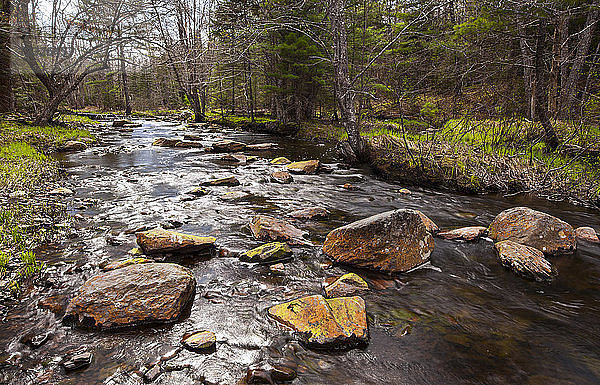 Der Kings Brook fließt um Felsen herum; Nova Scotia  Kanada