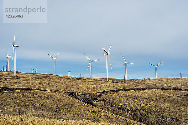 Windturbinen markieren den Horizont in Eastern Washington; Maryhill  Washington  Vereinigte Staaten von Amerika