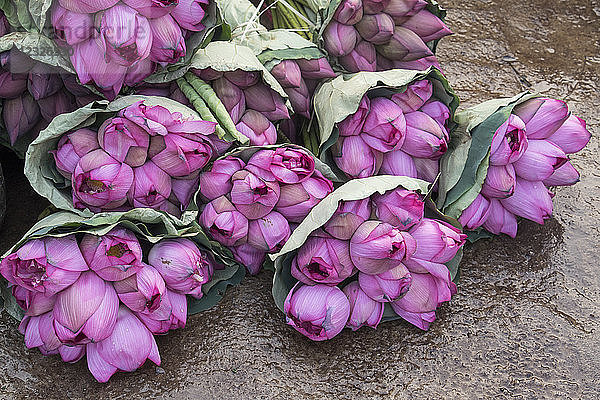 Lotusblumen in Sträußen zum Verkauf auf dem Markt; Hanoi  Hanoi  Vietnam