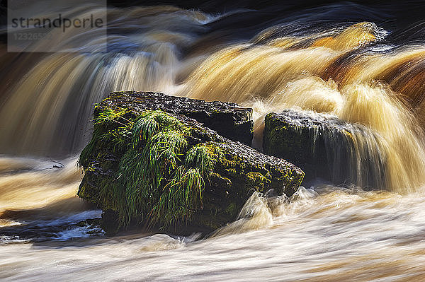 Felsen in den Aysgarth Falls  einer dreifachen Wasserfallreihe des Flusses Ure in den Yorkshire Dales in England  in der Nähe des Dorfes Aysgarth; North Yorkshire  England