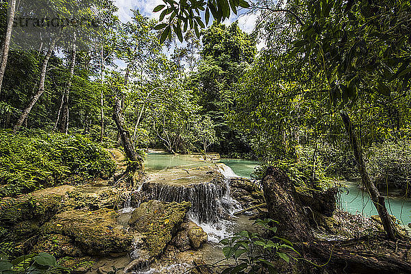 Kuang Si Wasserfälle; Luang Prabang  Laos