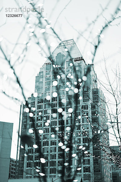 Kleine weiße Lichter an einem Baum im Vordergrund mit einem Wohnhochhaus im Hintergrund; Vancouver  British Columbia  Kanada