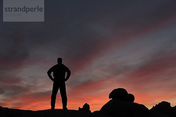 Silhouette eines Mannes  der den Sonnenuntergang im Joshua Tree National Park beobachtet; Kalifornien  Vereinigte Staaten von Amerika