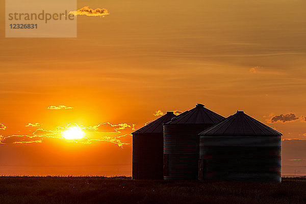 Silhouette von großen Getreidesilos aus Metall bei Sonnenaufgang mit orangefarbener Sonne  die über Wolken aufgeht; Alberta  Kanada