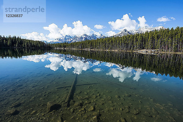 Rocky Mountains und Wald spiegeln sich im ruhigen Wasser des Hector Lake; Alberta  Kanada