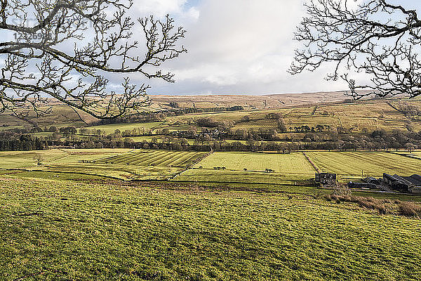 Grüne Felder und ferne Hügel des Allen Valley; England