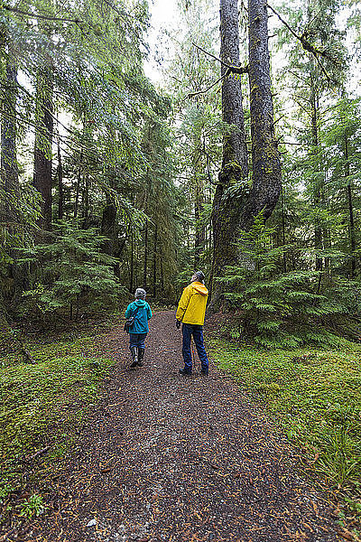 Ein älteres Paar wandert auf dem Golden Spruce Trail in einem alten Wald; Port Clement  Haida Gwaii  British Columbia  Kanada