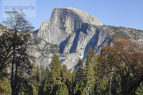 Half Dome vom Yosemite Valley aus gesehen  Yosemite National Park; Kalifornien  Vereinigte Staaten von Amerika